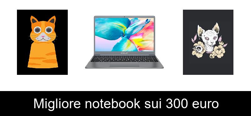 Migliore notebook sui 300 euro