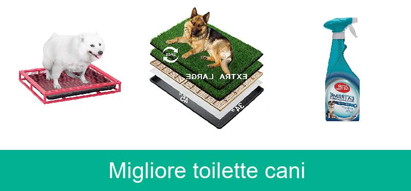 Migliore toilette cani