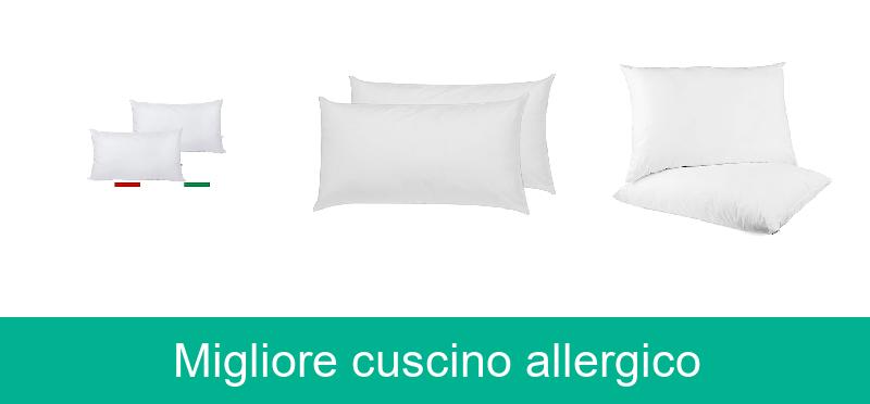 Migliore cuscino allergico